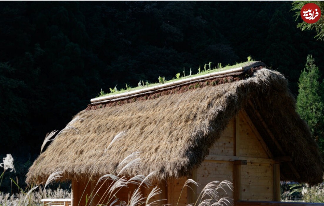 (تصاویر) معماری ویژه با الهام از معماری سنتی "گوسفند" 4 000