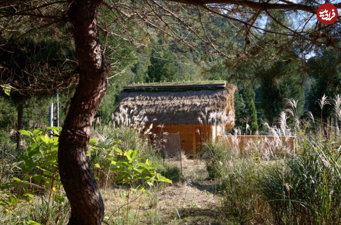 (تصاویر) معماری ویژه با الهام از معماری سنتی "گوسفند" 5 0000