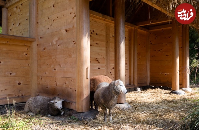 (تصاویر) معماری ویژه با الهام از معماری سنتی "گوسفند" 7 1