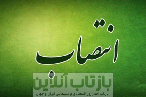 اعضای شورای پژوهشی مؤسسه ملی تحقیقات سلامت منصوب شدند