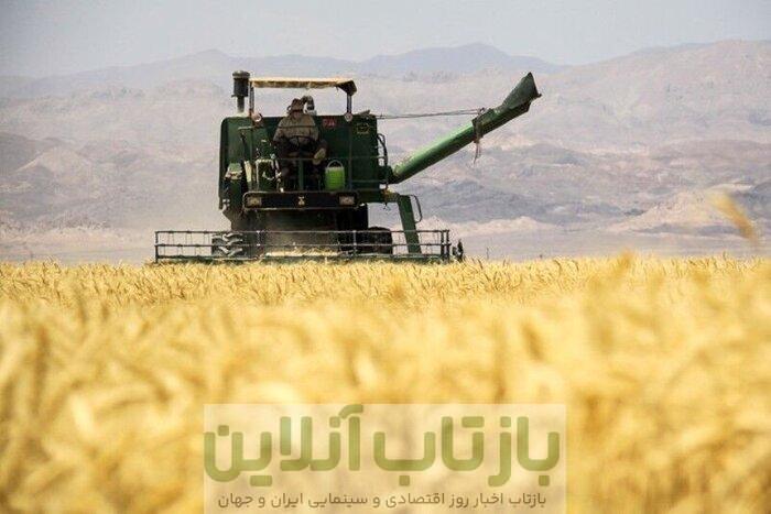 خبر مهم درباره اصلاح قیمت گندم/ قیمت جدید اعلام شد
