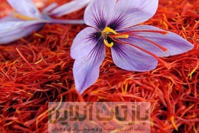 زعفران ارزان شد/ قیمت جدید زعفران را ببینید