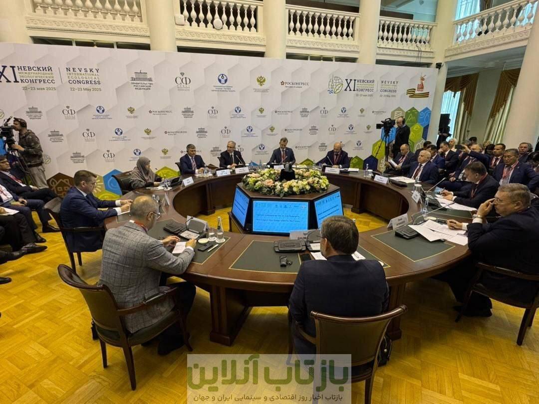 شینا انصاری در اجلاس بین‌المللی محیط‌زیست نفسکی روسیه سخنرانی کرد