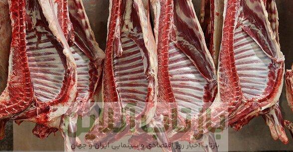 تداوم واردات گوشت یا توقف عرضه؛ تصمیم چیست؟