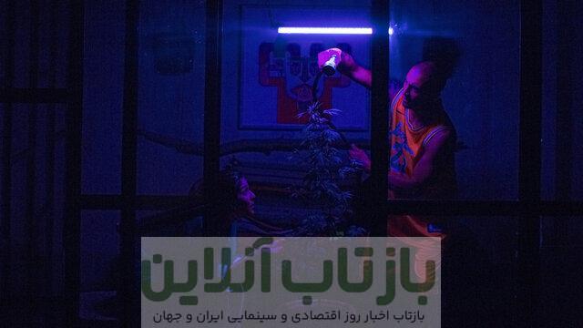 سهیل بیرقی به کارلووی واری دعوت شد