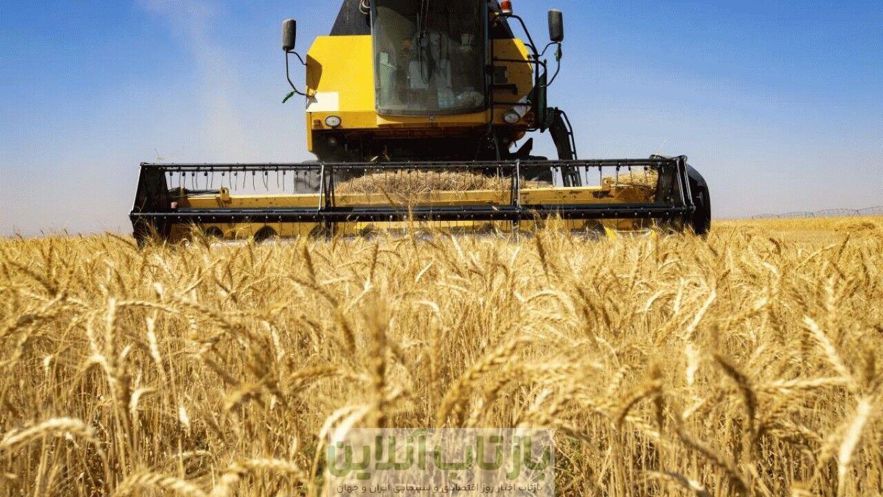 سورپرایز ویژه دولت برای گندم‌کاران/ واریزی بزرگ انجام شد