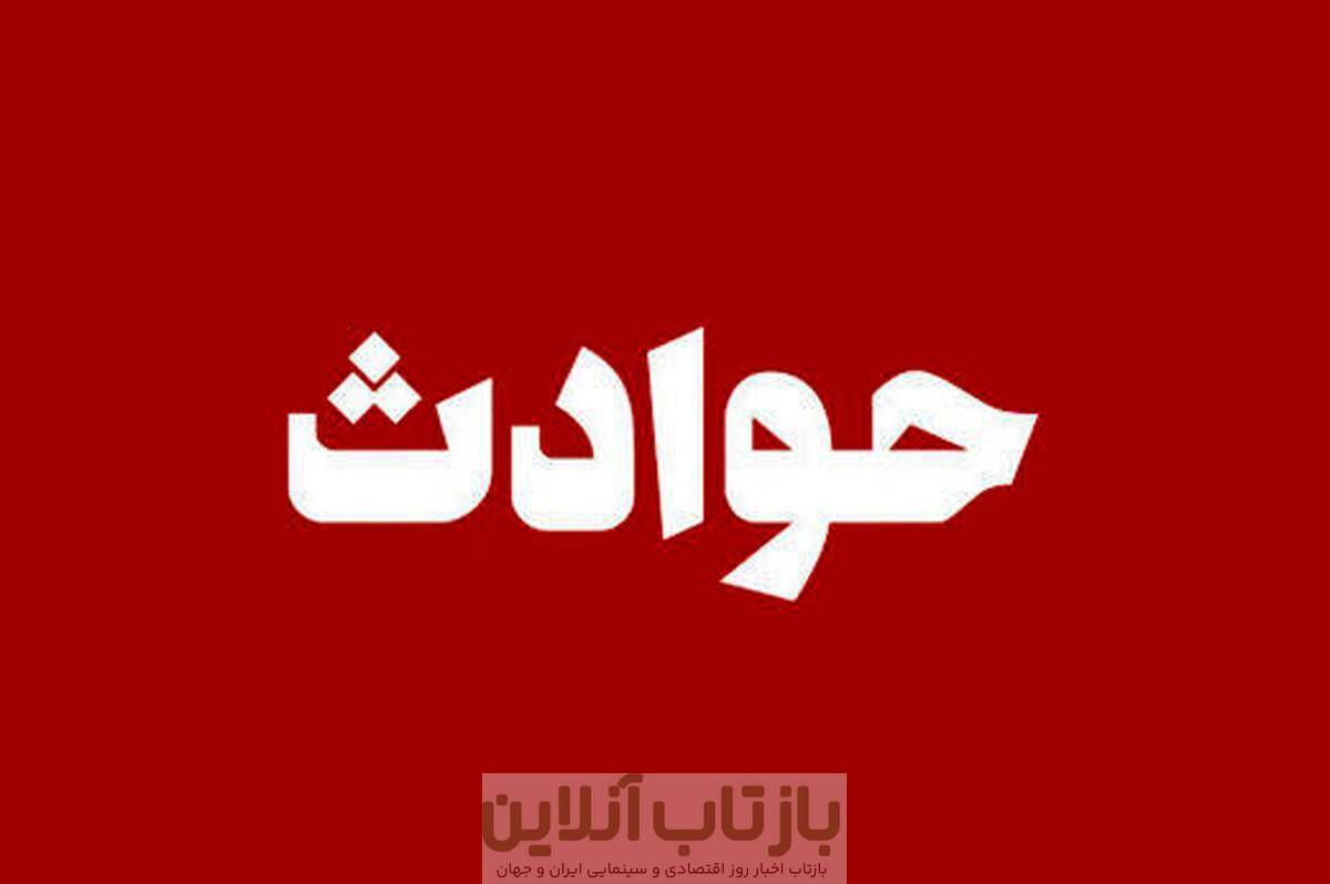 مرد مسلح جمجمه فردی را که فرزندانش برای چیدن آلو وارد باغ او شده بودند متلاشی کرد