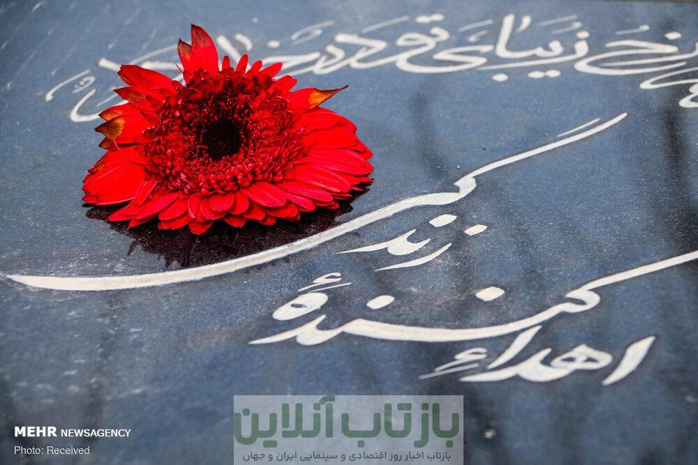 مرگ مغزی پایان نیست؛ آغاز ۸ زندگی تازه است