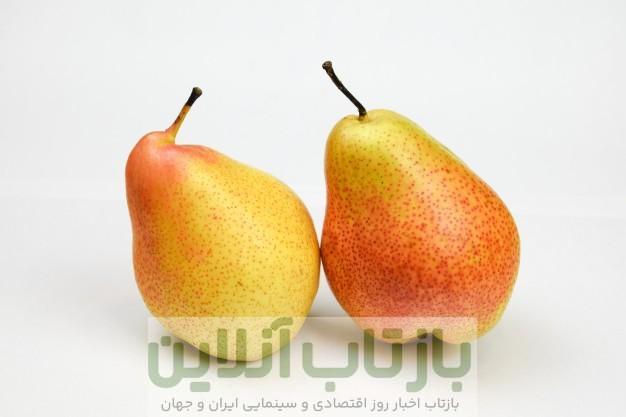 خواص, فواید و مضرات گلابی و هرآنچه لازم است از میوه گلابی بدانید |  دندانپزشکی پرنس