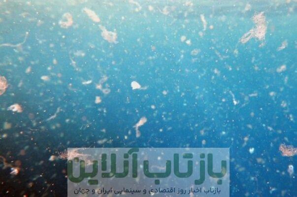 عدم ارتباط بین مواد شیمیایی پلاستیکی در دوران بارداری و زایمان زودرس