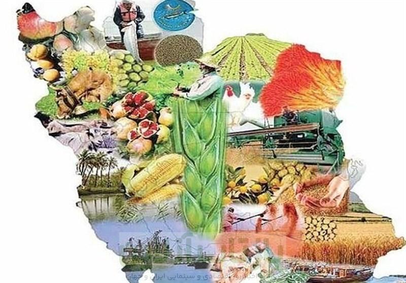 ایمنی غذایی در بحران آب؛ راهکارهای حفظ سلامت جامعه