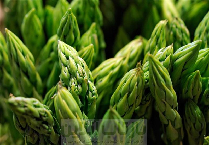 رشد کشت گیاه دارویی و کم‌آب‌بر مارچوبه در شهرستان جوادآباد