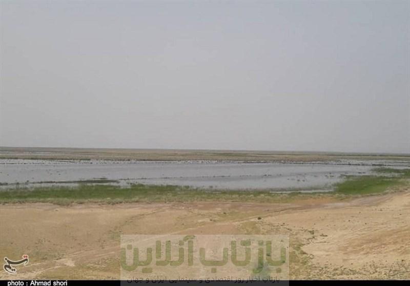 مهلت یک‌ماهه برای تعیین تکلیف حقابه رودخانه شور
