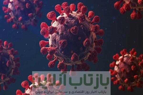 هشدار وزارت بهداشت درباره بیماری‌های شایع تنفسی در فصل پاییز