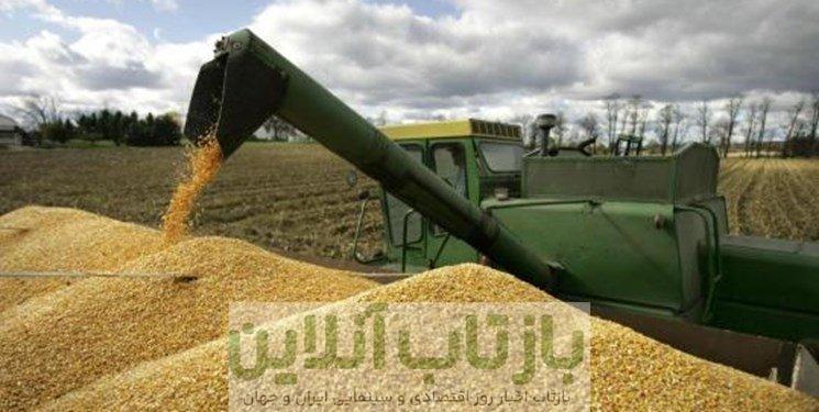 خبر مهم برای گندمکاران/ اعلام رقم جدید درباره پرداخت مطالبات گندمکاران