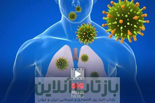 هشدار پاییزی، ویروس های تنفسی در راهند