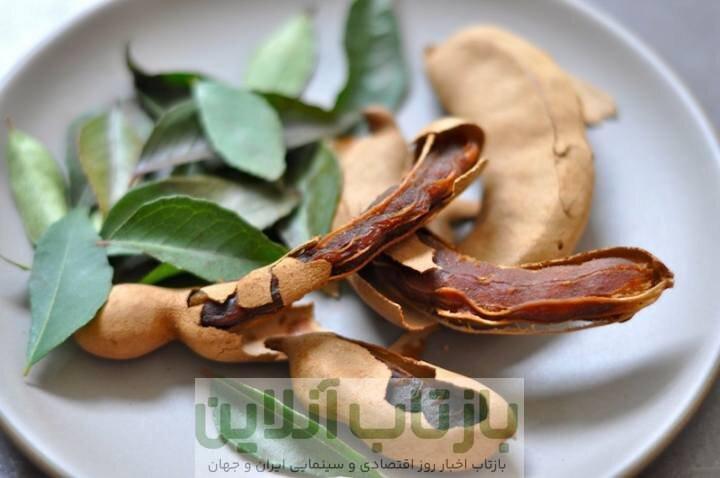 تمر هندی؛ میوه‌ای ترش با فواید شگفت‌انگیز برای سلامت بدن