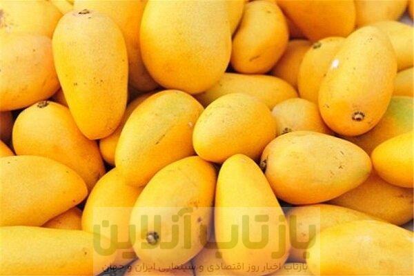 سلطان میوه‌های استوایی با خواص بی‌نظیر برای بدن