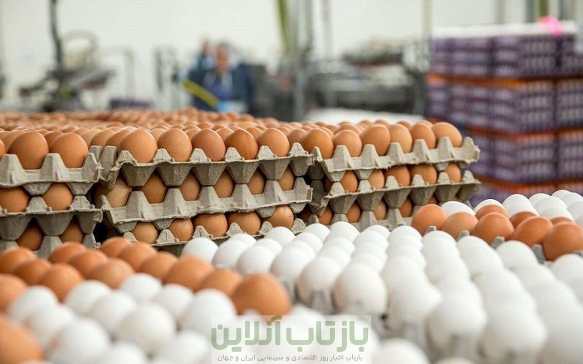 قیمت هرشانه تخم مرغ اعلام شد؛ بالاتر از این عدد گرانفروشی است