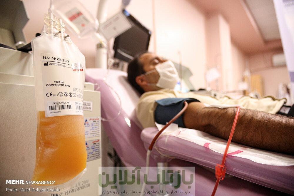 صادرات پلاسما قانونی بوده است