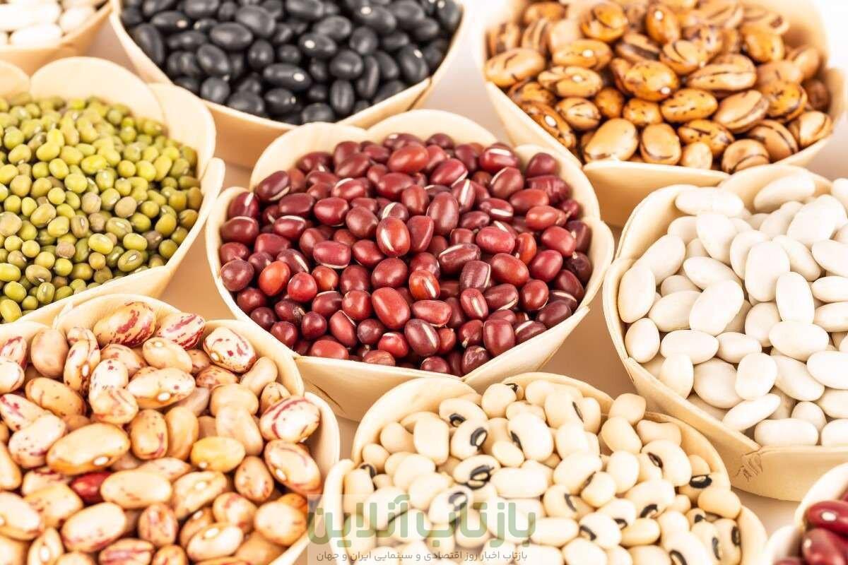 آخرین وضعیت بازار حبوبات ایران/ لپه چی: احتمال کاهش قیمت ها وجود دارد