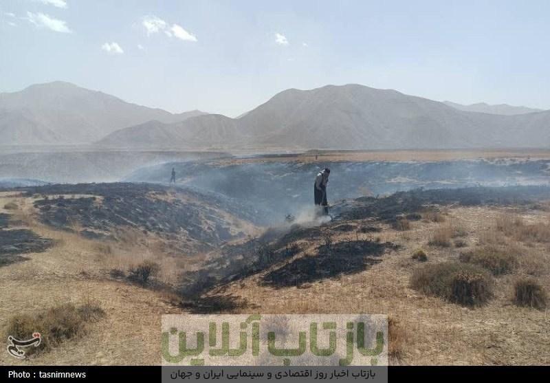 مهار آتش سوزی 20 هکتاری در پارک ملی لار با تلاش محیط بانان
