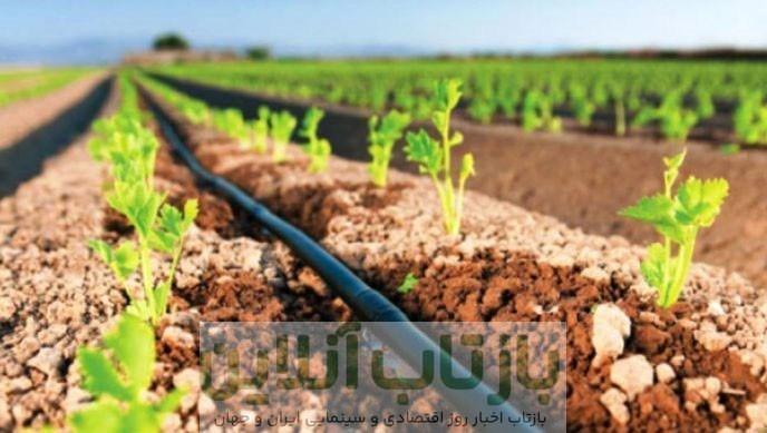 آبیاری قطره ای هوشمند؛ راهکار نجات بخش کشاورزان در سال های خشک