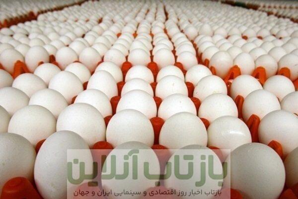 قیمت رسمی تخم‌مرغ اعلام شد/ جزییات