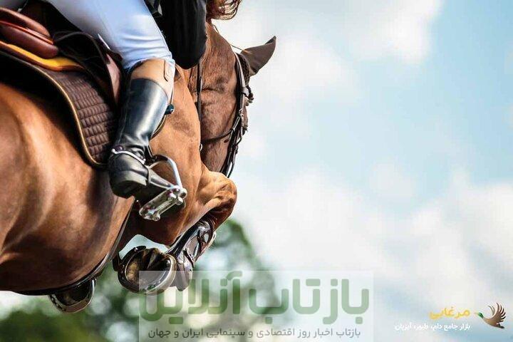 اعلام زمان انتخابات فدراسیون سوارکاری