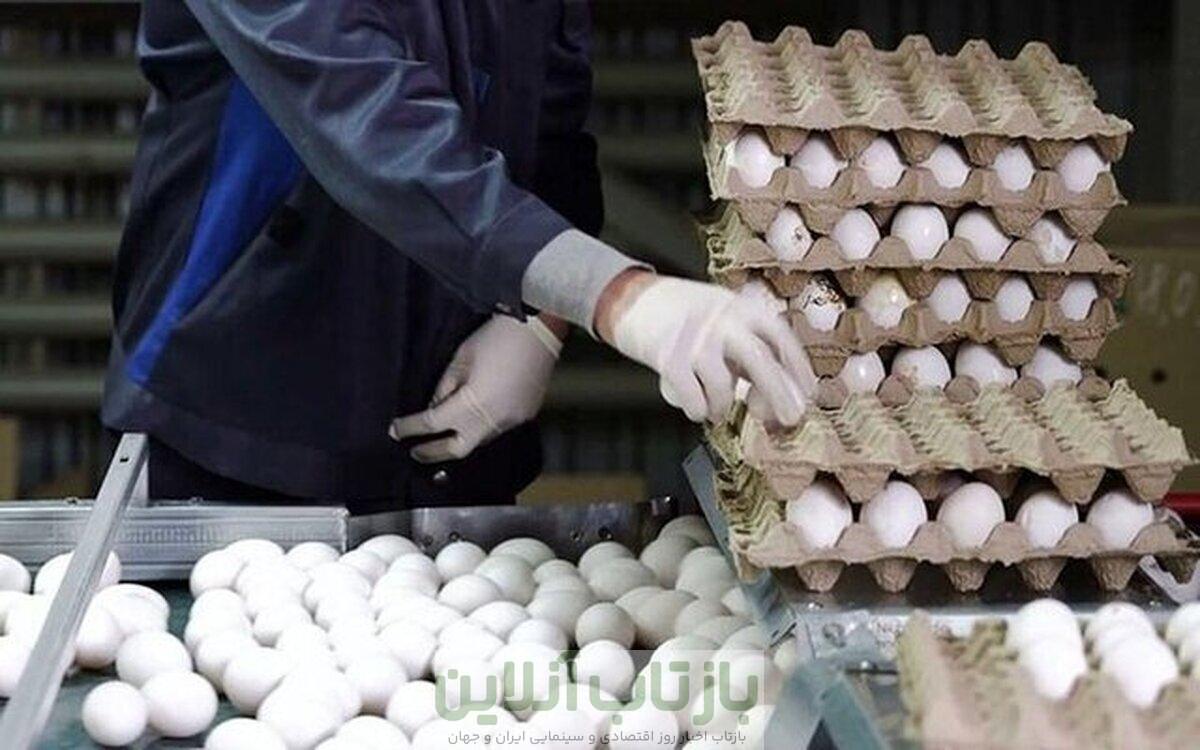 چرا عراق واردات مرغ و تخم‌مرغ ایرانی را ممنوع کرد؟