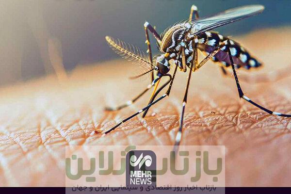 رئیسی: تب دنگی «ماهیتی اجتماعی» دارد