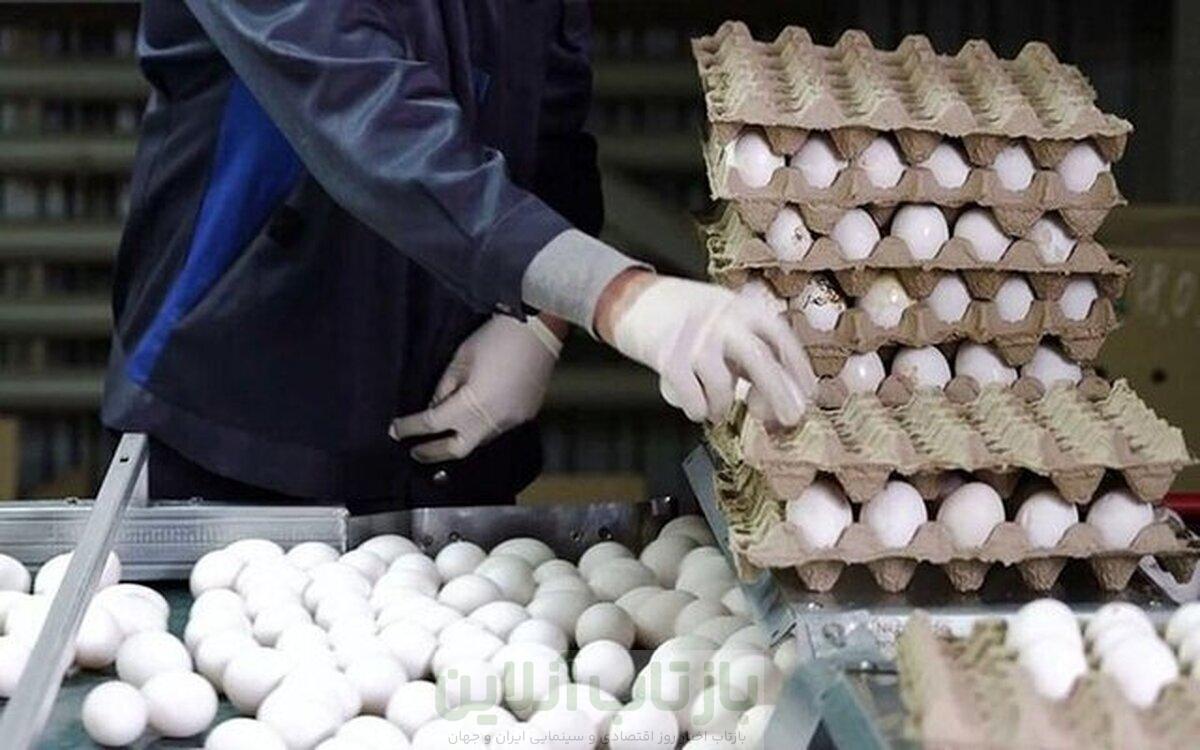 چرا عراق واردات مرغ و تخم‌مرغ ایرانی را ممنوع کرد؟