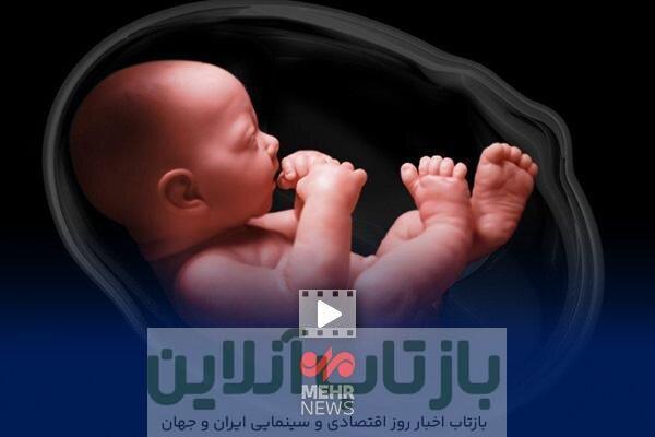 طرح نفس؛ ۱۵هزار جنین که قرار بود نباشند، اکنون در مرحله بارداری هستند