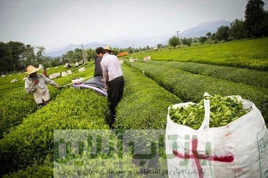 دولت به این افراد وام ۱۰۰ میلیونی می‌دهد
