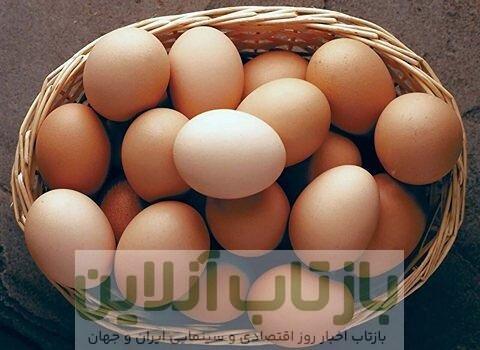 اعلام قیمت هر شانه تخم‌مرغ / کاشانی: بالاتر از این قیمت گران‌فروشی است