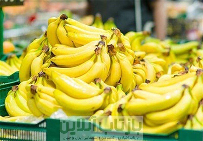 قیمت موز باید بسیار پایین تر باشد/ رانت واردات موز در قبال صادرات سیب