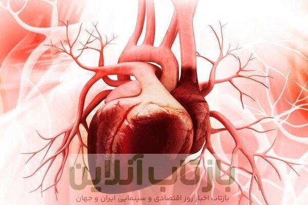 تاثیر محافظتی ورزش بر قلب زنان بیشتر است