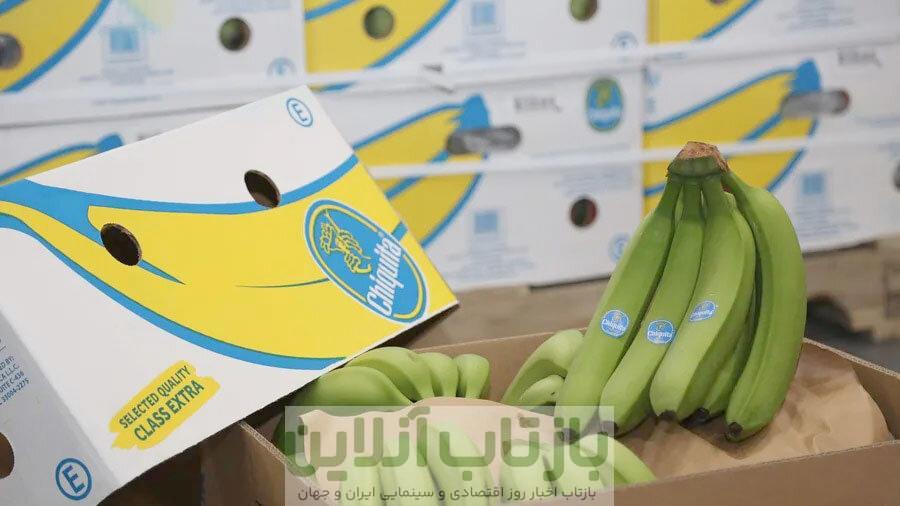 اختلال در سامانه گمرکی، ۱۰۰۰ تن موز را در معرض فساد قرار داد