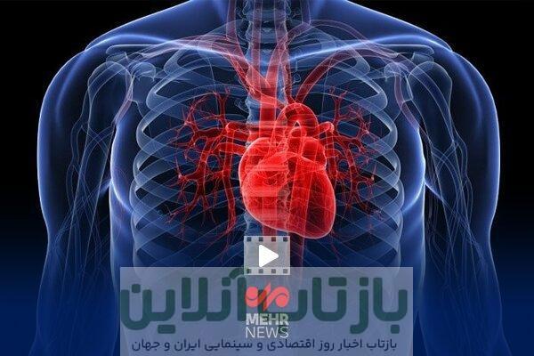 تفاوت مهم بیماری قلبی در آقایان و بانوان