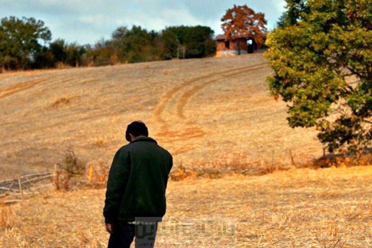 استادِ نشان دادن اضطرابِ آدم‌های سرگشته/ نوری بیلگه جیلان به ایران می‌آید