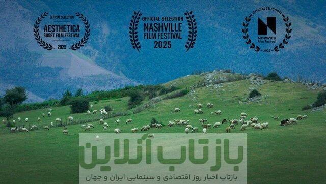 گوسفند ایرانی نظر لس‌آنجلسی‌ها را جلب کرد