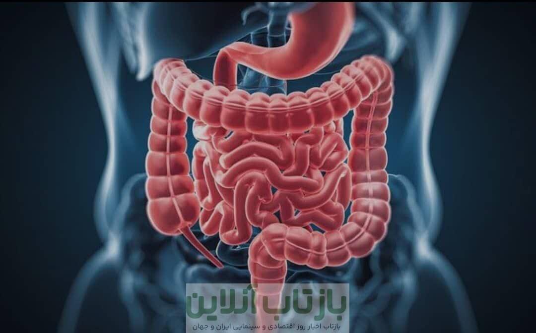 شیوع مشکلات گوارشی در دوران یائسگی