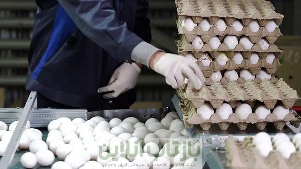 تخم مرغ دانه‌ای ۸ هزار تومان؛ افزایش قیمت باز هم ادامه دارد؟