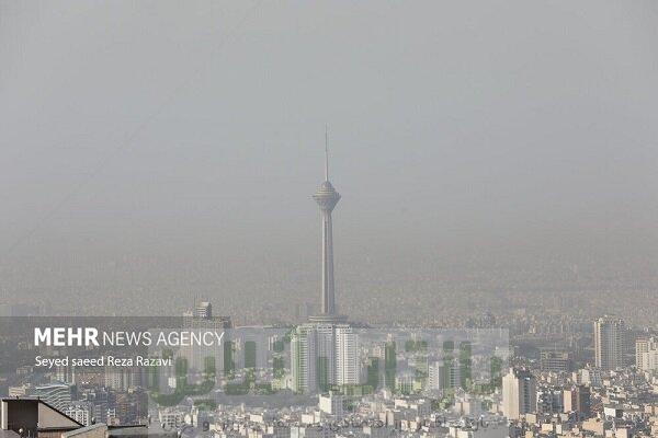 بیماران قلبی در «خانه» بمانند! 1 بیماران قلبی در «خانه» بمانند!