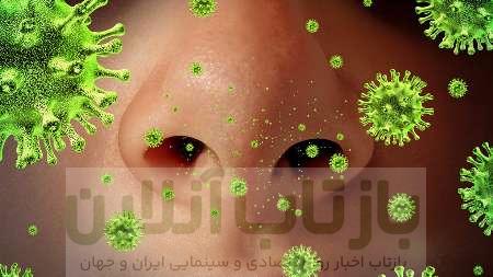 آنفلوآنزای مرغی بیخ گوش ایرانی‌ها/ این افراد حتما واکسن آنفلوآنزا بزنند