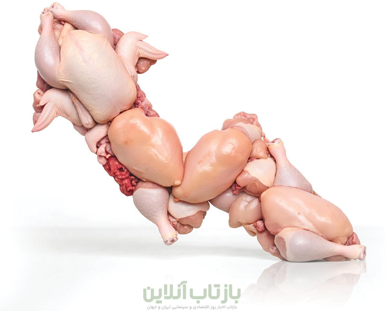 قیمت مرغ بازهم بالاتر می‌پرد؟