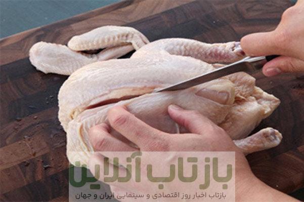 مرغ ۱۰۰ هزار تومانی قالیباف، شعار یا واقعیت؟ / اسدالله‌نژاد: این حرف‌های سیاسی است، نهاده‌ها نایاب‌شده، قیمت سربه فلک‌کشیده 