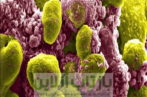 تاثیر یک ترکیب دارویی در کاهش خطر مرگ ناشی از سرطان