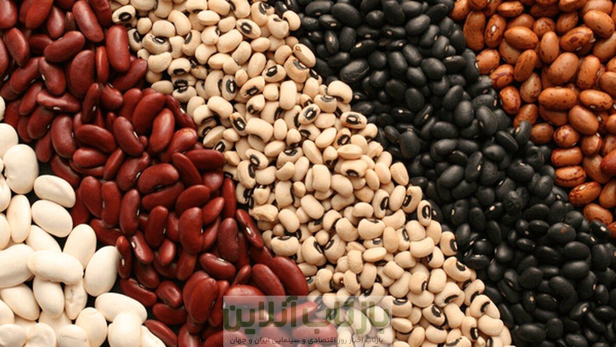 تصمیم جدید دولت برای بازار حبوبات / لوبیا لوکس شد!