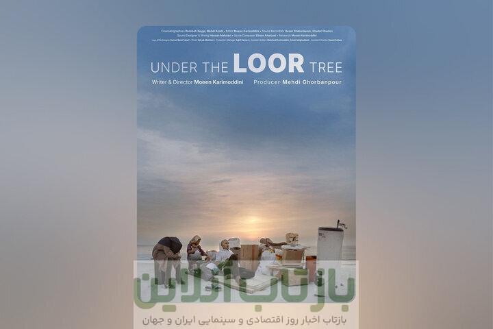 مستند «زیر درخت لور»؛ نگاهی انسانی به مهاجرت و تلاش برای زندگی بهتر